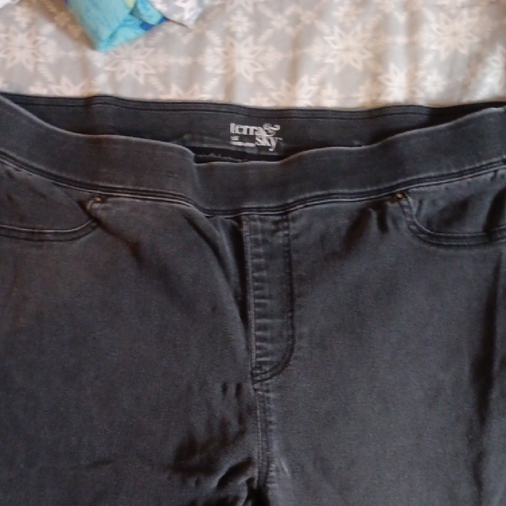 Terra & Sky Women's Dark Gray Jeggings